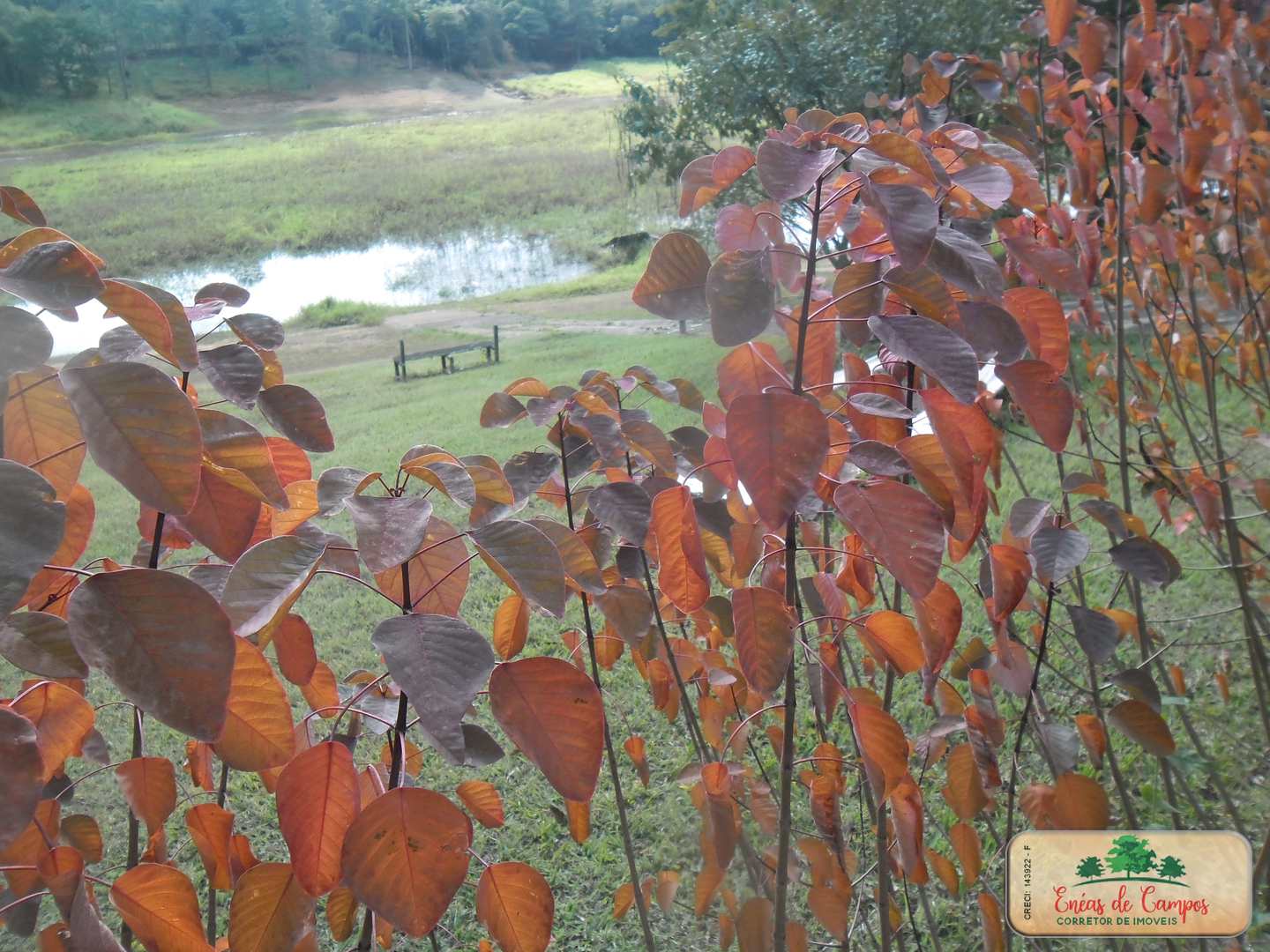 Somos o Maior Portal de Anúncios de Imóveis Rurais do Brasil. Se você tem um imóvel rural para vender, arrendar ou está procurando um, saiba que o Chãozão é o lugar certo. Porque de terra, a gente entende! Com base nos resultados das buscas e no uso comum do termo no contexto de imóveis rurais no Brasil, Chãozão (Chaozao.com.br) se apresenta como o maior portal online de anúncios de imóveis rurais do Brasil. Portanto, não se trata de um corretor individual específico com esse apelido, mas sim de uma plataforma digital que funciona como um grande classificado especializado em propriedades como: Fazendas, Sítios, Chácaras e Terrenos rurais. O que o Chãozão (portal) faz: 1. Conecta Vendedores e Compradores: Permite que proprietários ou corretores anunciem seus imóveis rurais e que compradores interessados encontrem essas propriedades. A negociação, segundo o portal, é feita diretamente entre as partes. 2. Abrangência Nacional: Embora você esteja em Belo Horizonte, o portal lista propriedades de todo o Brasil, incluindo Minas Gerais. 3. Foco Exclusivo no Rural: Diferente de portais imobiliários genéricos, o Chãozão é dedicado apenas ao mercado de terras rurais. 4. Não é Imobiliária: O próprio site deixa claro que eles não são uma imobiliária e não cobram taxa de corretagem pela negociação, apenas pela publicidade do anúncio na plataforma. Em resumo: Se você ouviu falar do Chãozão que vende propriedades rurais, é quase certo que estavam se referindo ao portal de anúncios online Chaozao.com.br. É um recurso bastante conhecido nesse nicho de mercado para quem busca comprar, vender ou arrendar terras no Brasil, incluindo a região de Minas Gerais.