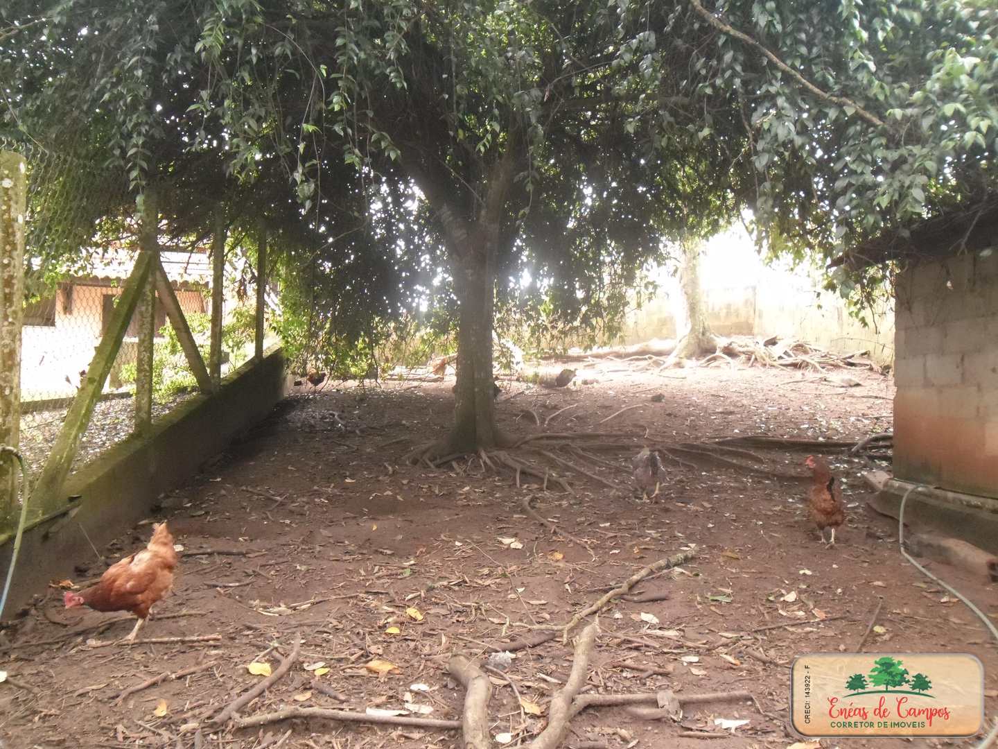 Chãozão - O Maior Portal de Anúncios de Imóveis Rurais do Brasil.