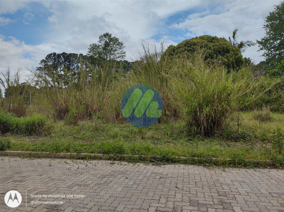 Terreno à venda, 270m² - Foto 6