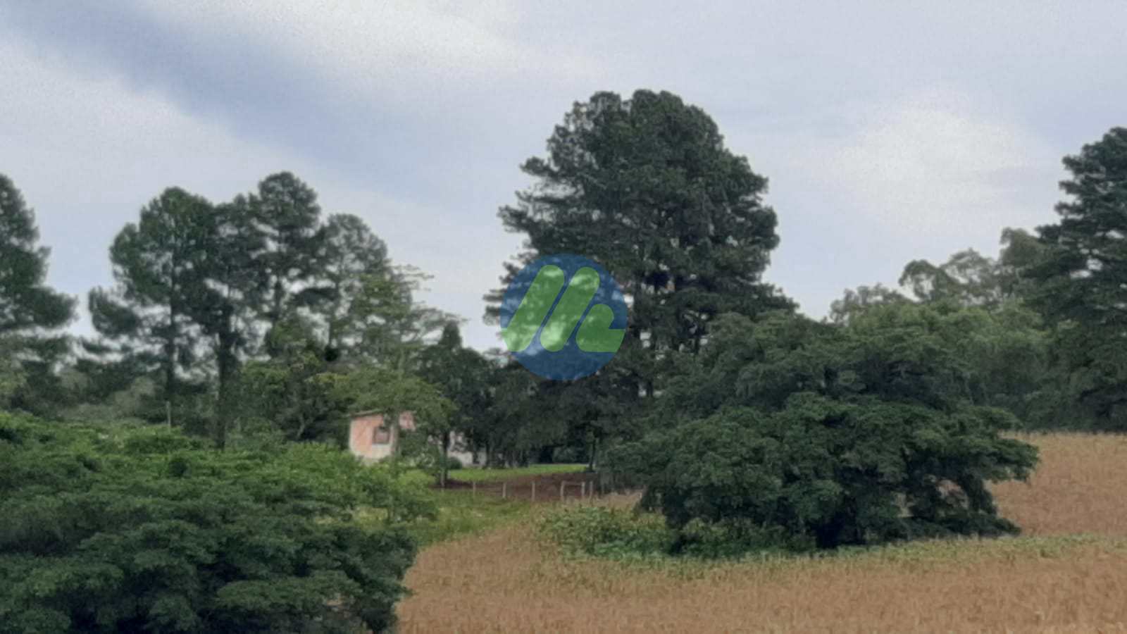 Fazenda à venda, 170000m² - Foto 15