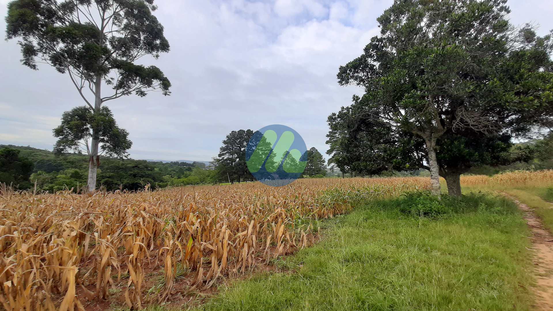 Fazenda à venda, 170000m² - Foto 8