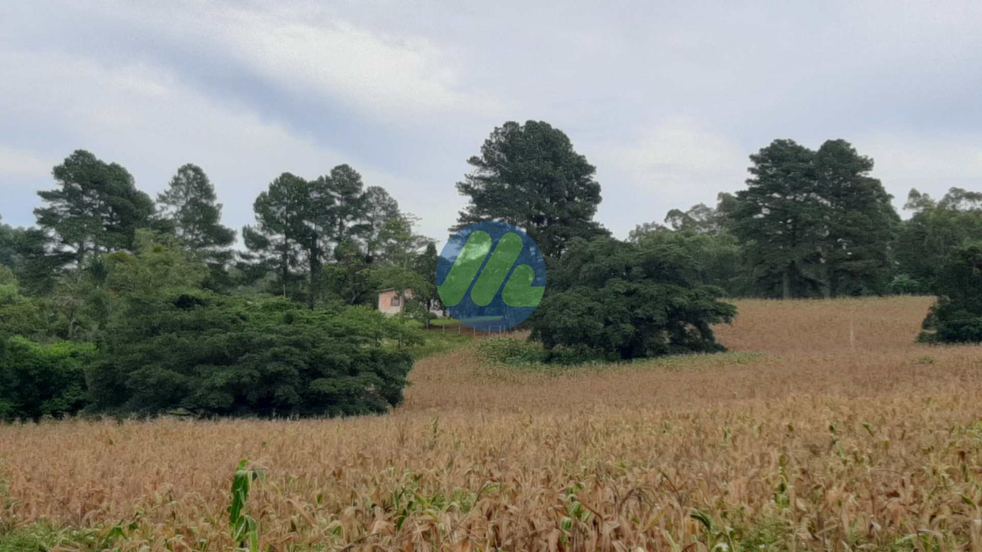 Fazenda à venda, 170000m² - Foto 6