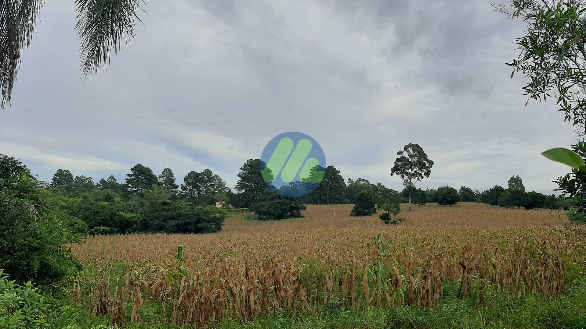 Fazenda à venda, 170000m² - Foto 7