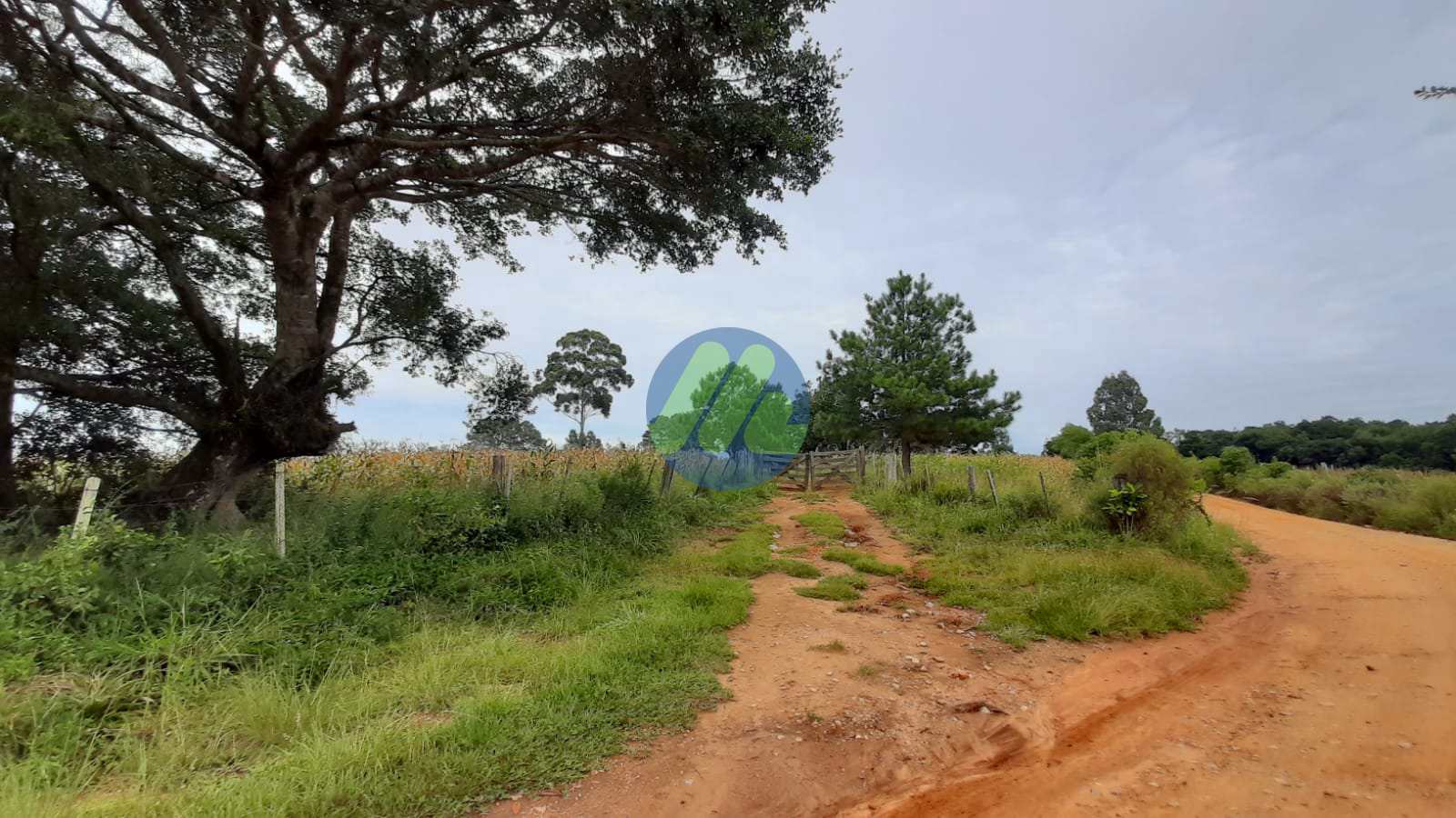 Fazenda à venda, 170000m² - Foto 12