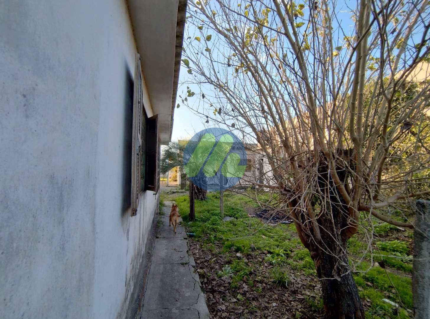 Casa à venda com 2 quartos, 576m² - Foto 4