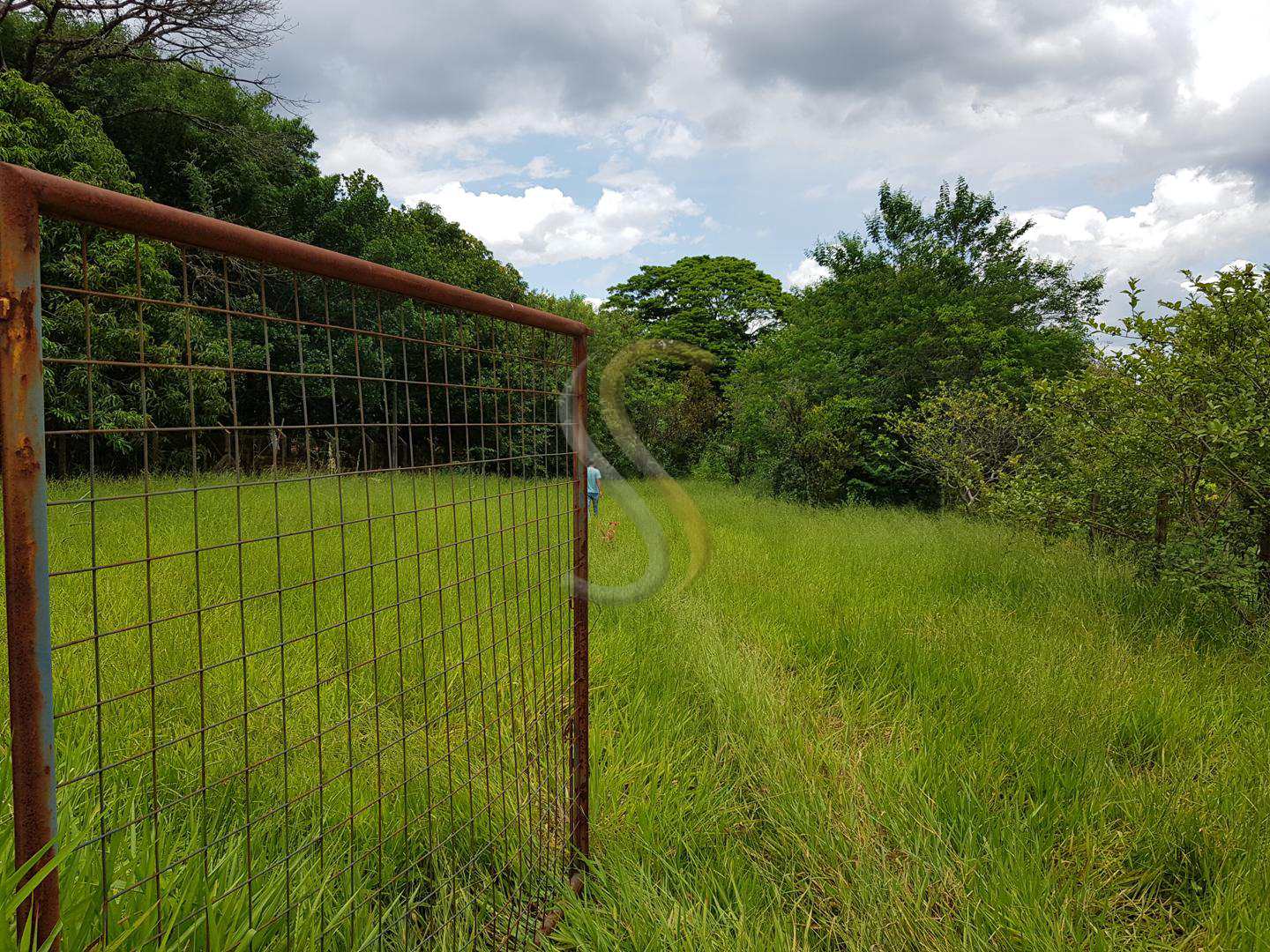 Fazenda à venda, 5000m² - Foto 1