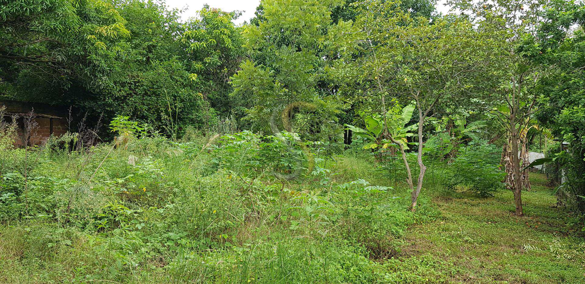 Fazenda à venda com 2 quartos, 1520m² - Foto 9