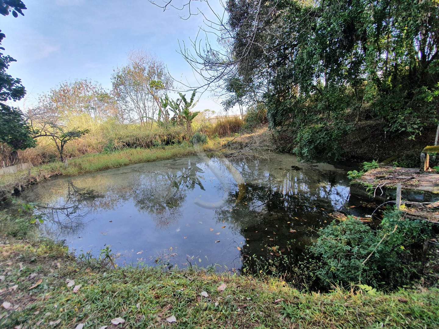 Fazenda à venda com 3 quartos, 7000m² - Foto 18