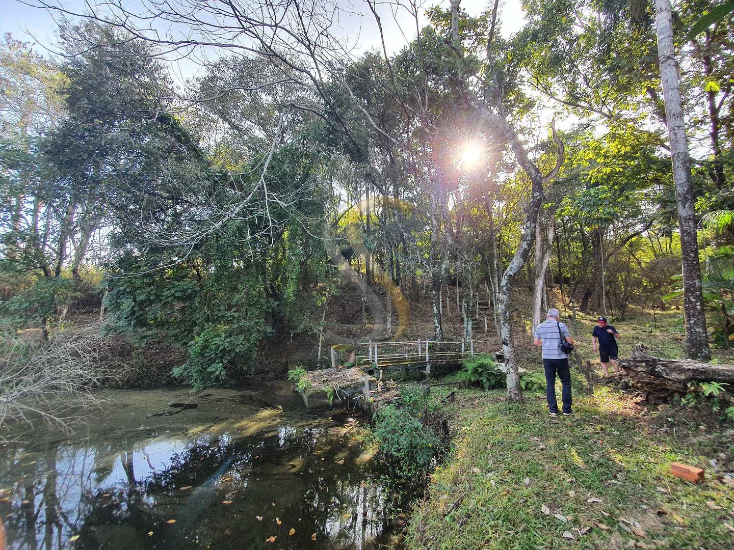 Fazenda à venda com 3 quartos, 7000m² - Foto 22