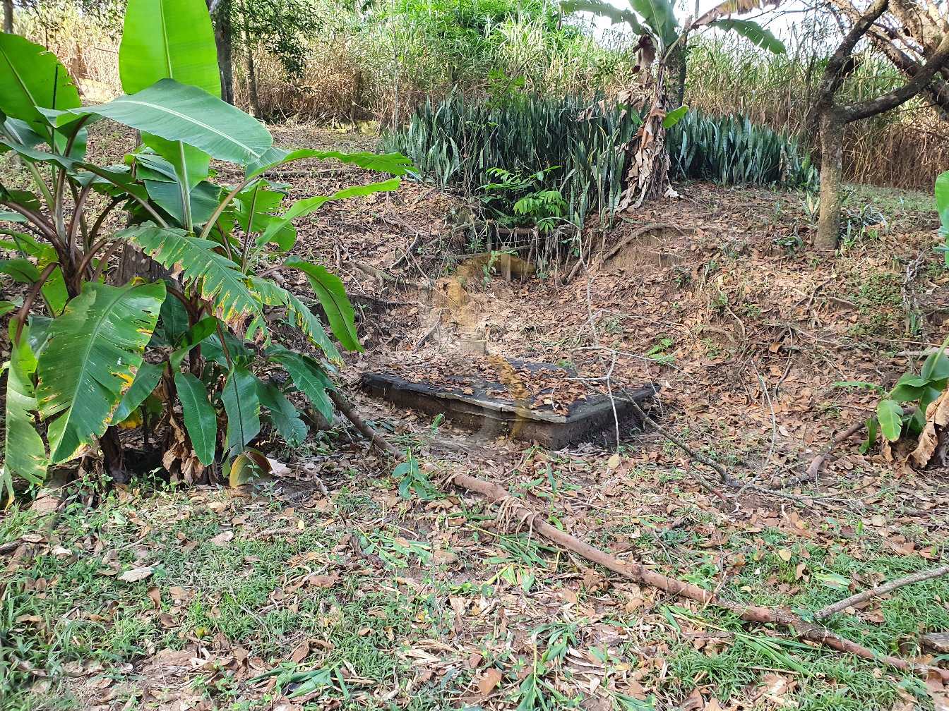 Fazenda à venda com 3 quartos, 7000m² - Foto 12