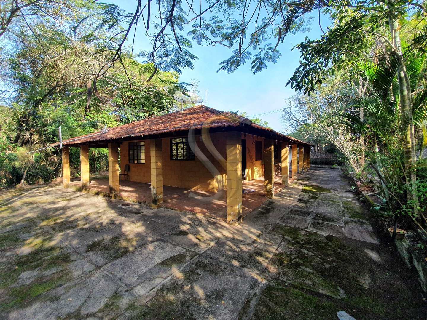 Fazenda à venda com 3 quartos, 7000m² - Foto 29