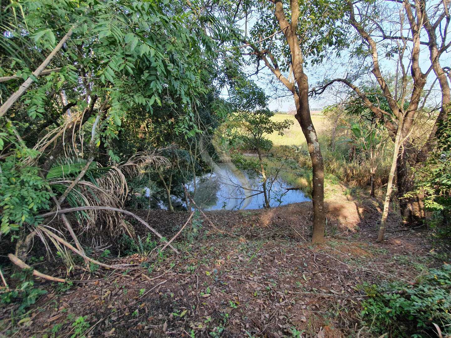 Fazenda à venda com 3 quartos, 7000m² - Foto 19