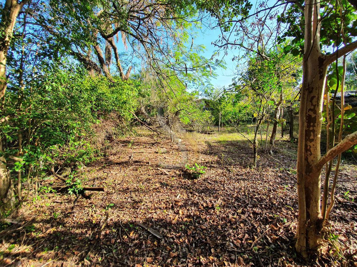 Fazenda à venda com 3 quartos, 7000m² - Foto 30