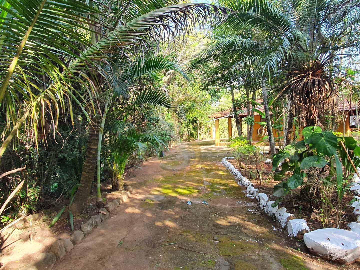 Fazenda à venda com 3 quartos, 7000m² - Foto 32