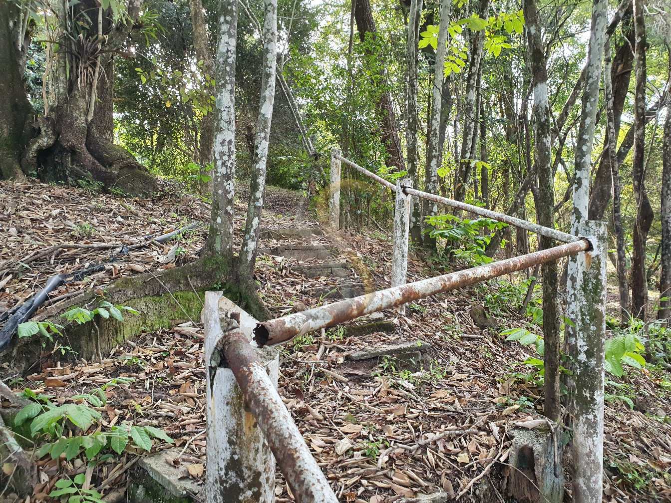 Fazenda à venda com 3 quartos, 7000m² - Foto 10