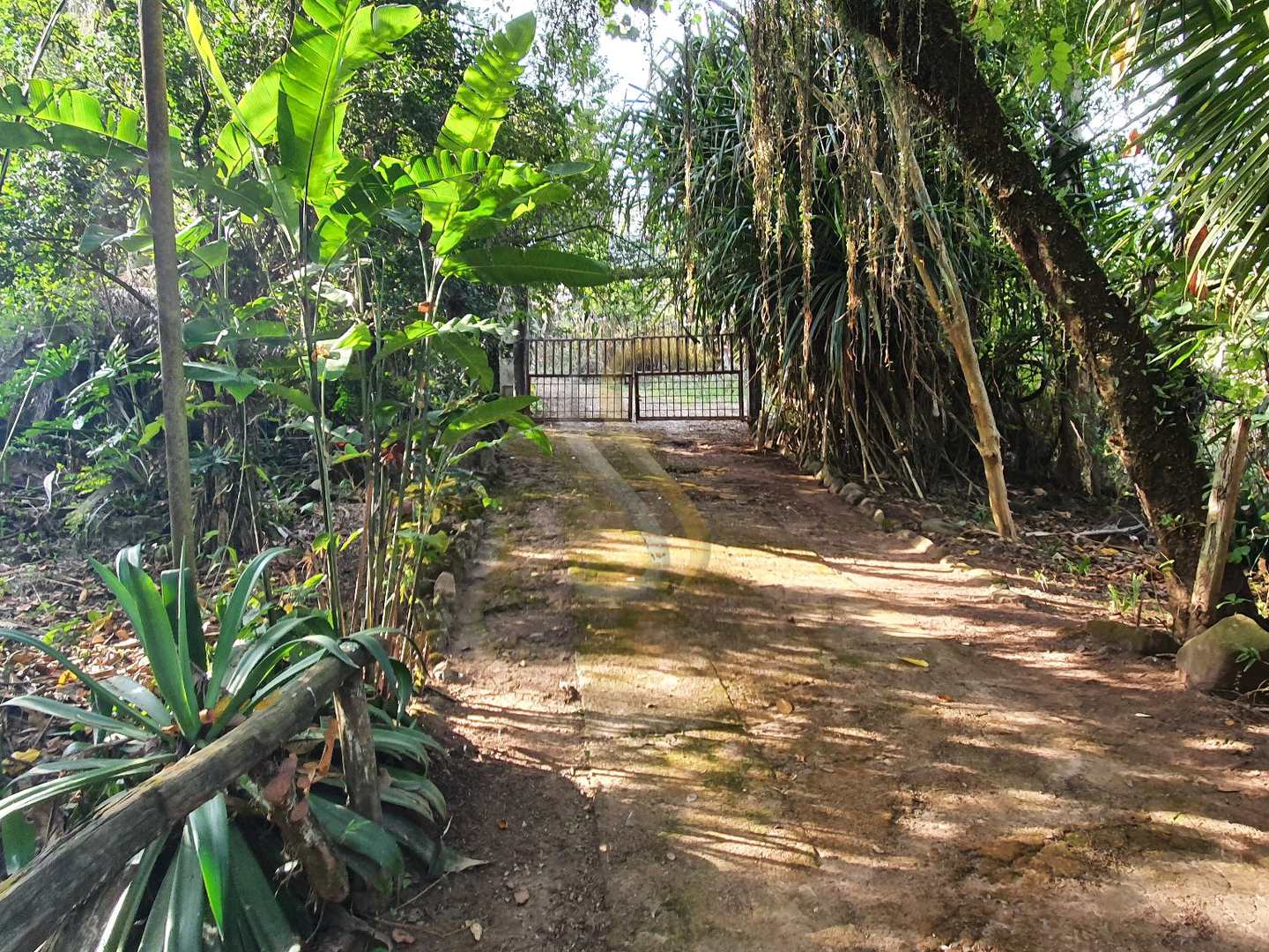 Fazenda à venda com 3 quartos, 7000m² - Foto 33