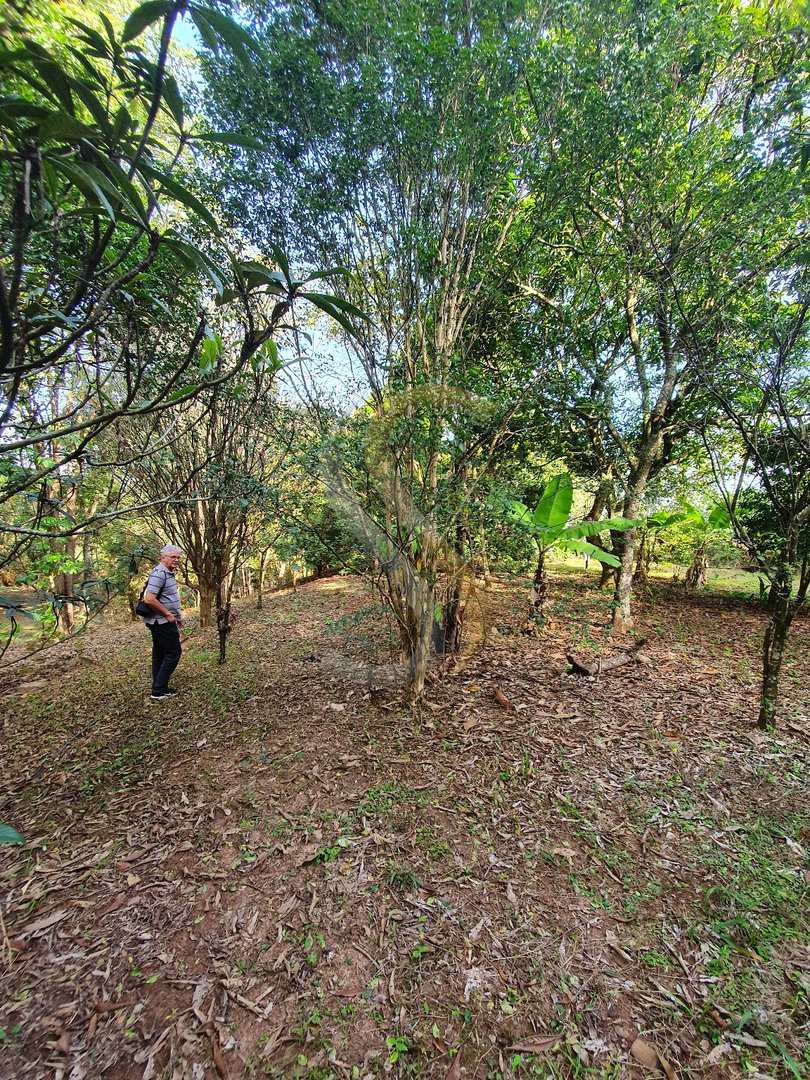 Fazenda à venda com 3 quartos, 7000m² - Foto 7