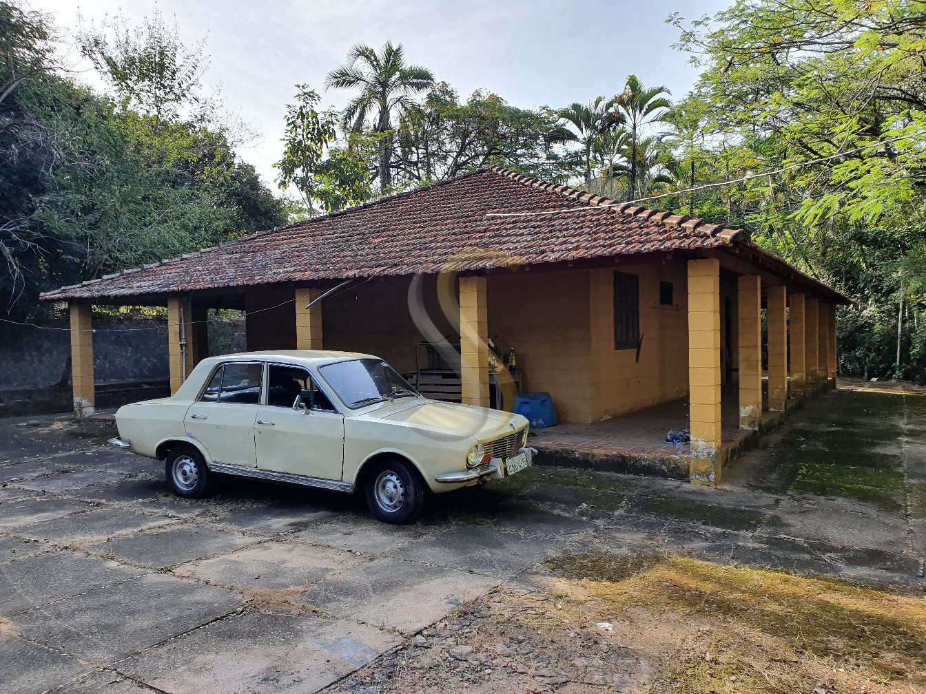 Fazenda à venda com 3 quartos, 7000m² - Foto 27