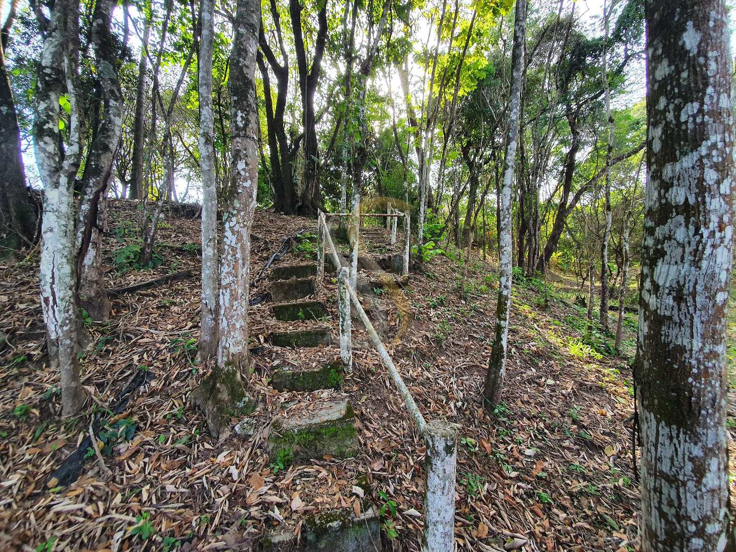 Fazenda à venda com 3 quartos, 7000m² - Foto 11