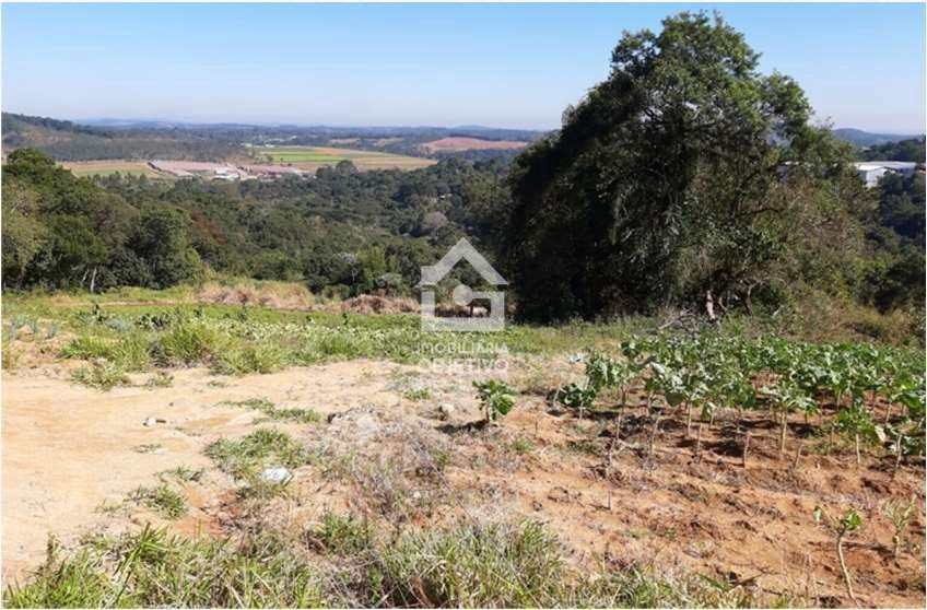 Terreno à venda, 50000m² - Foto 2