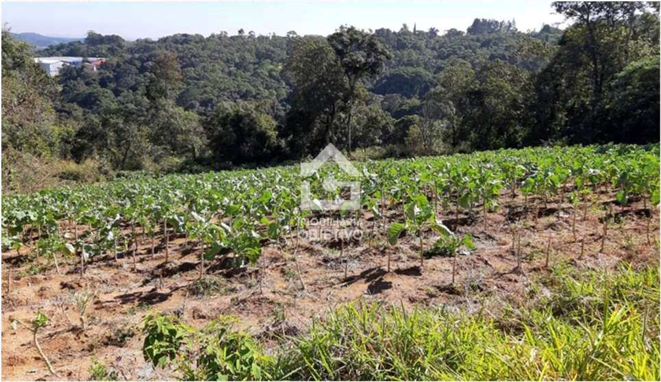 Terreno à venda, 50000m² - Foto 3