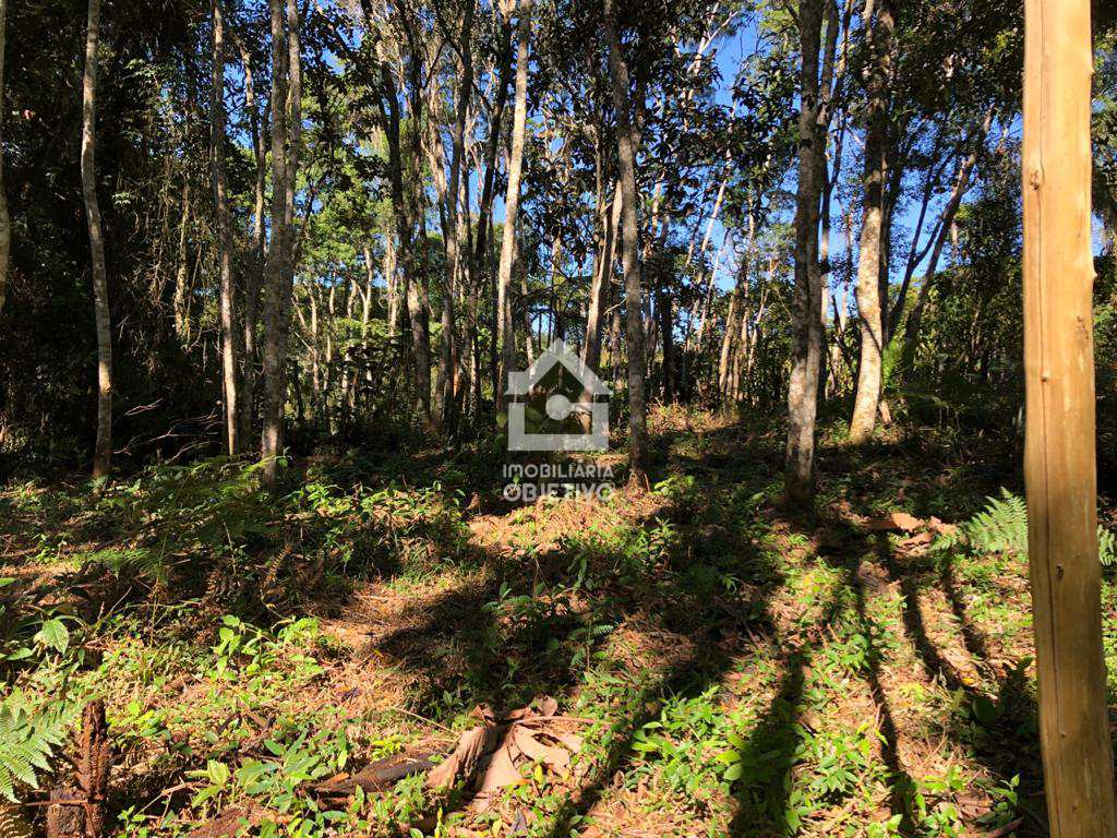 Terreno, dos Neves (Caucaia do Alto), Cotia - R$ 210 mil, Cod: 4254