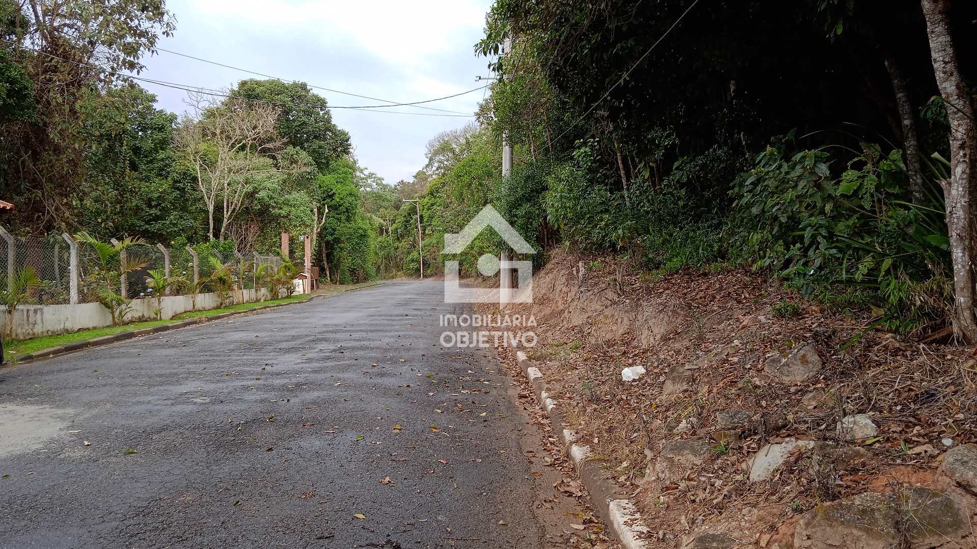 Fazenda à venda com 4 quartos, 6000m² - Foto 51