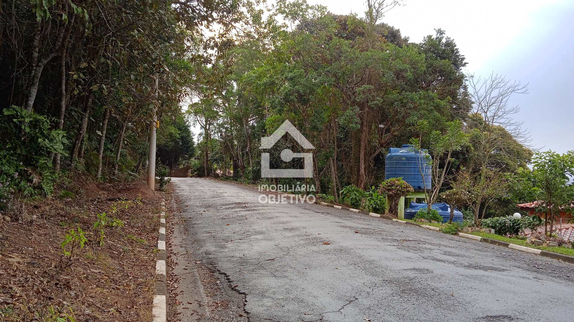 Fazenda à venda com 4 quartos, 6000m² - Foto 50