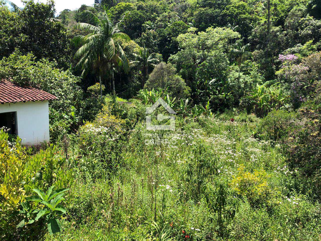 Chácara à venda com 2 quartos, 2000m² - Foto 18