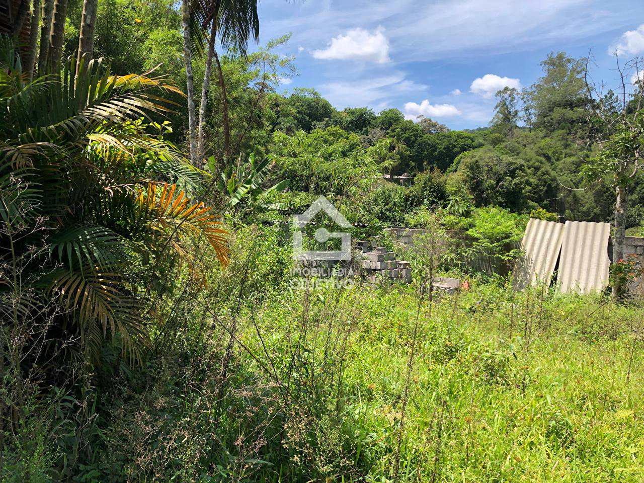Chácara à venda com 2 quartos, 2000m² - Foto 9