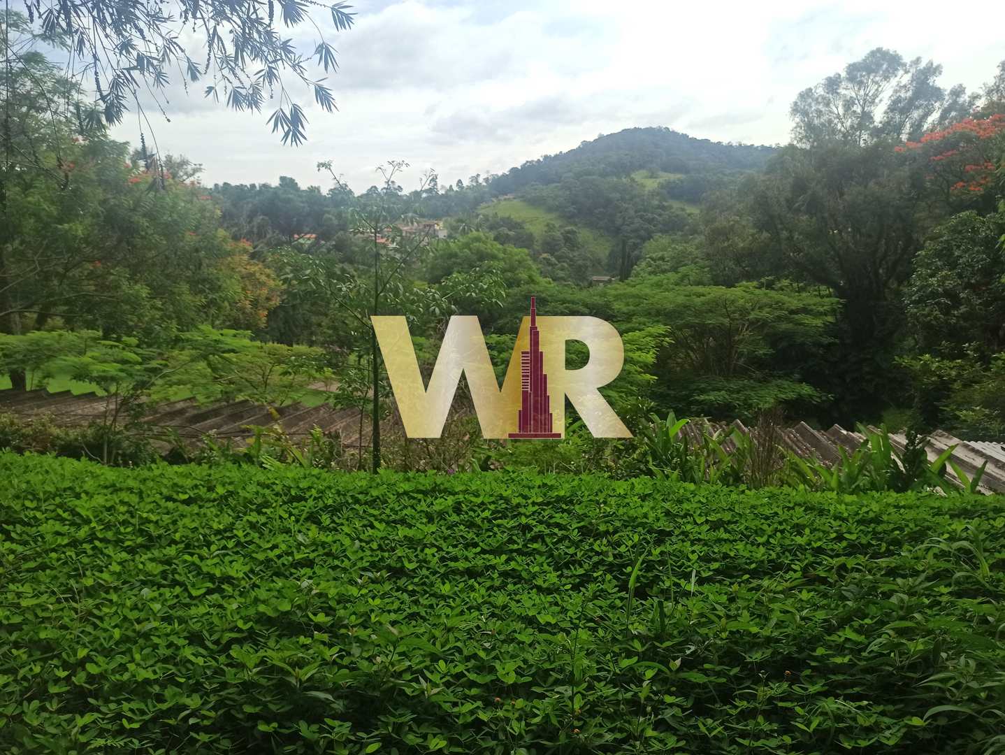 Fazenda à venda com 9 quartos, 235000m² - Foto 17