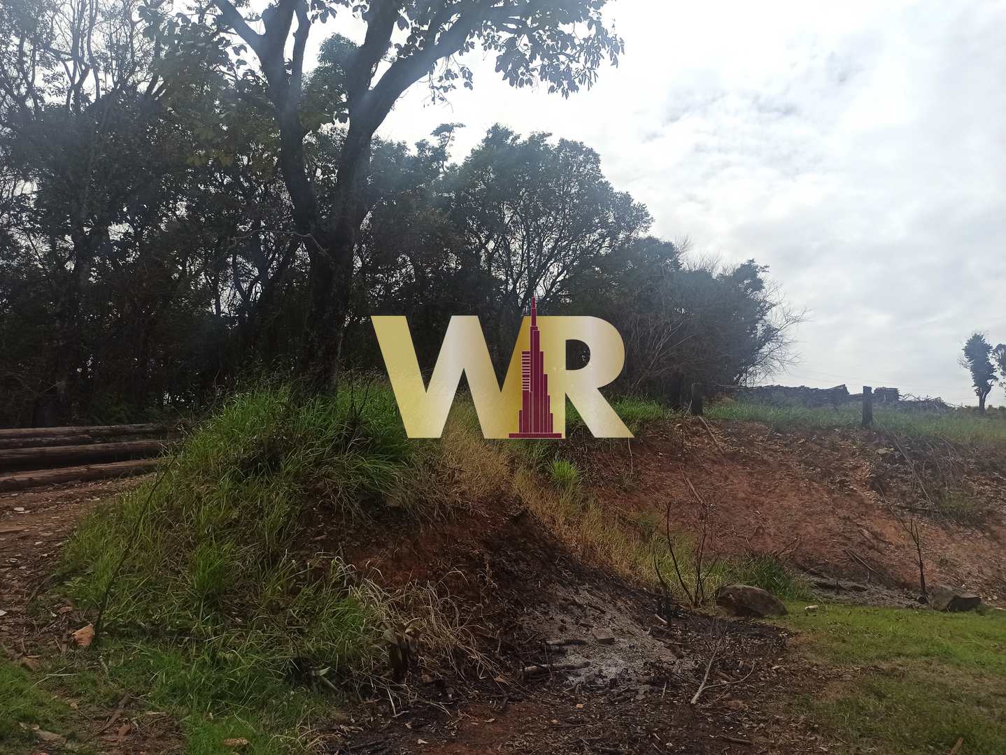 Fazenda à venda com 9 quartos, 235000m² - Foto 10