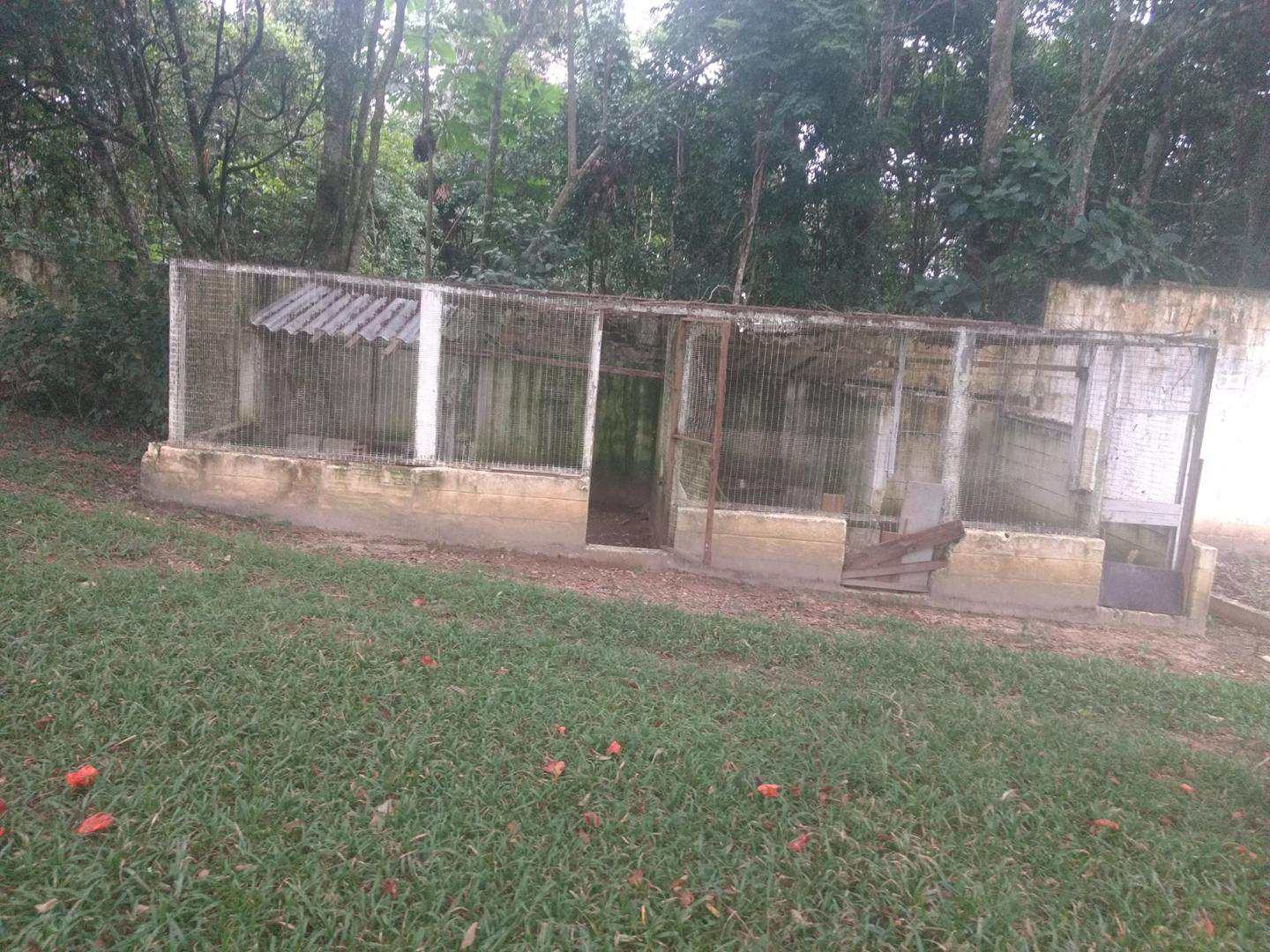 Fazenda à venda com 2 quartos, 1m² - Foto 12