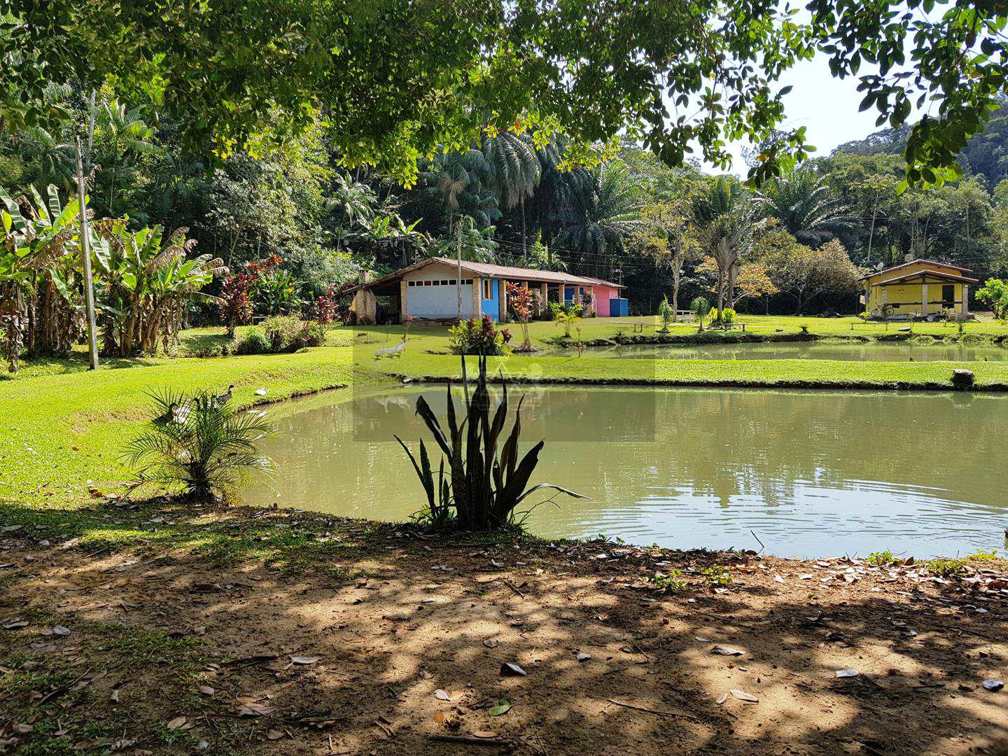 Chácara com 3 dorms, Getuba, Caraguatatuba - R$ 2.5 mi, Cod: 91