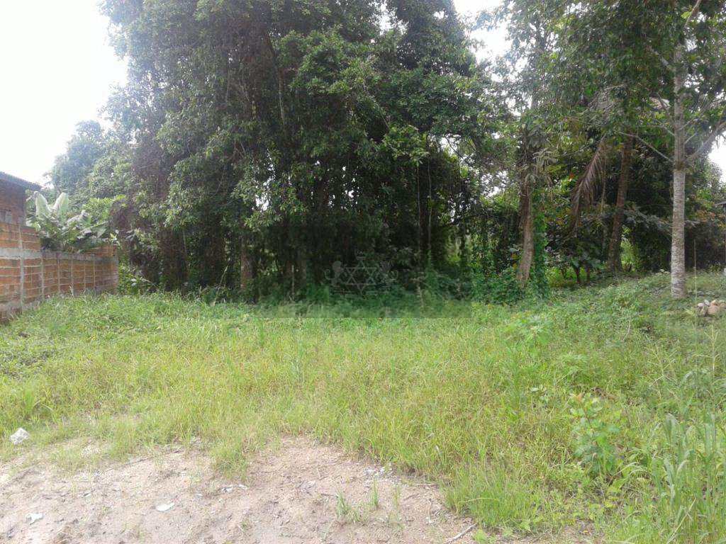Terreno, Morro do Algodão, Caraguatatuba - R$ 85 mil, 300 m²