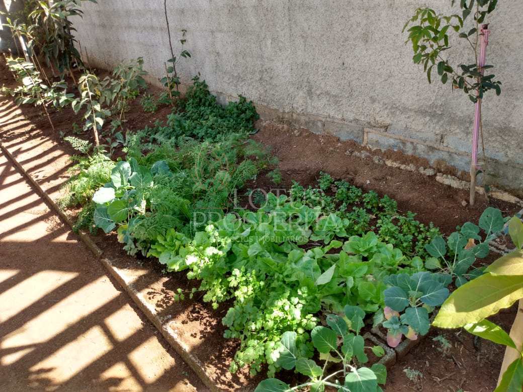 Fazenda à venda com 4 quartos, 1000m² - Foto 85