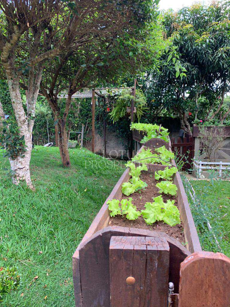 Fazenda à venda com 3 quartos, 1000m² - Foto 34