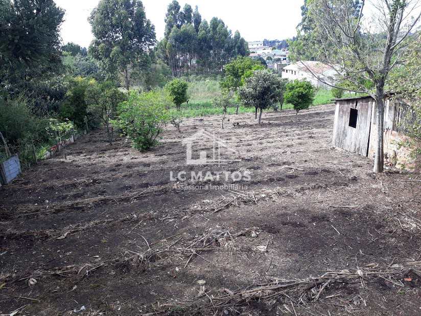 Fazenda à venda, 5760m² - Foto 3