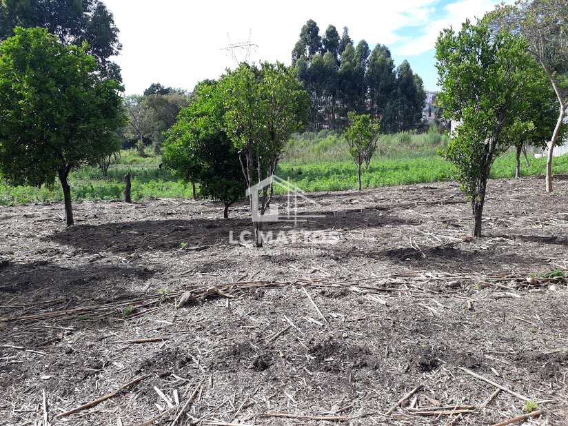 Fazenda à venda, 5760m² - Foto 6