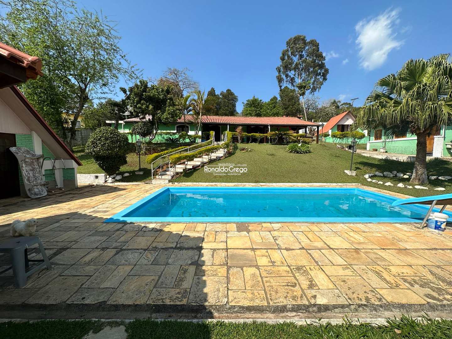 Fazenda à venda e aluguel com 5 quartos, 1000m² - Foto 16