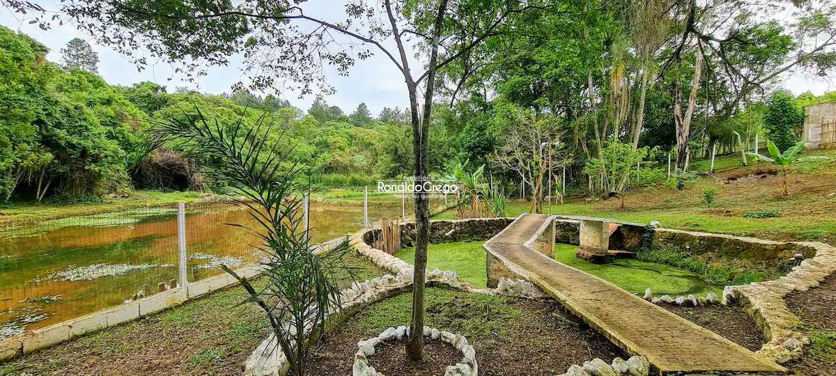 Fazenda à venda e aluguel com 5 quartos, 1000m² - Foto 8