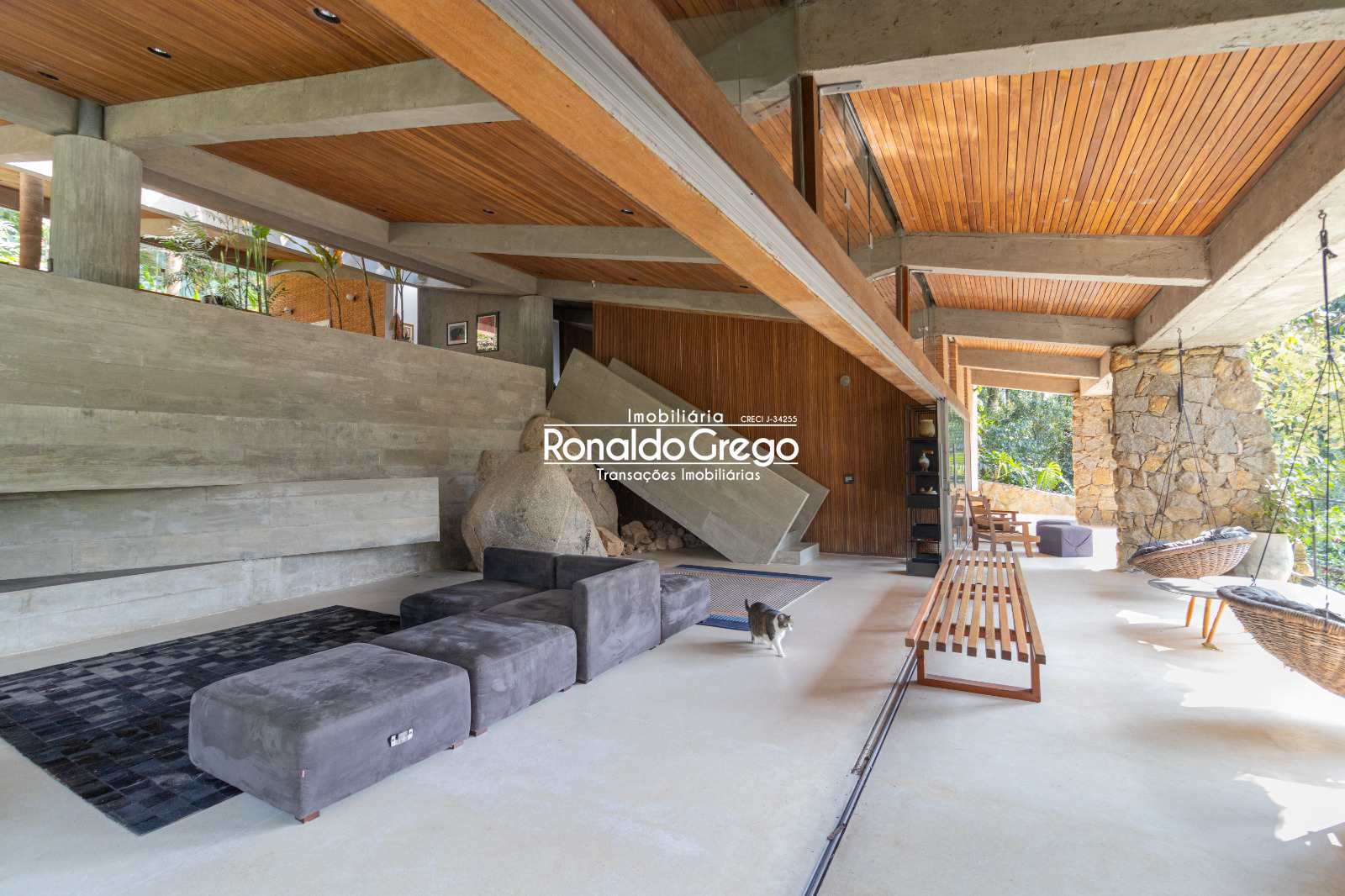 Chácara à venda com 2 quartos, 6000m² - Foto 11