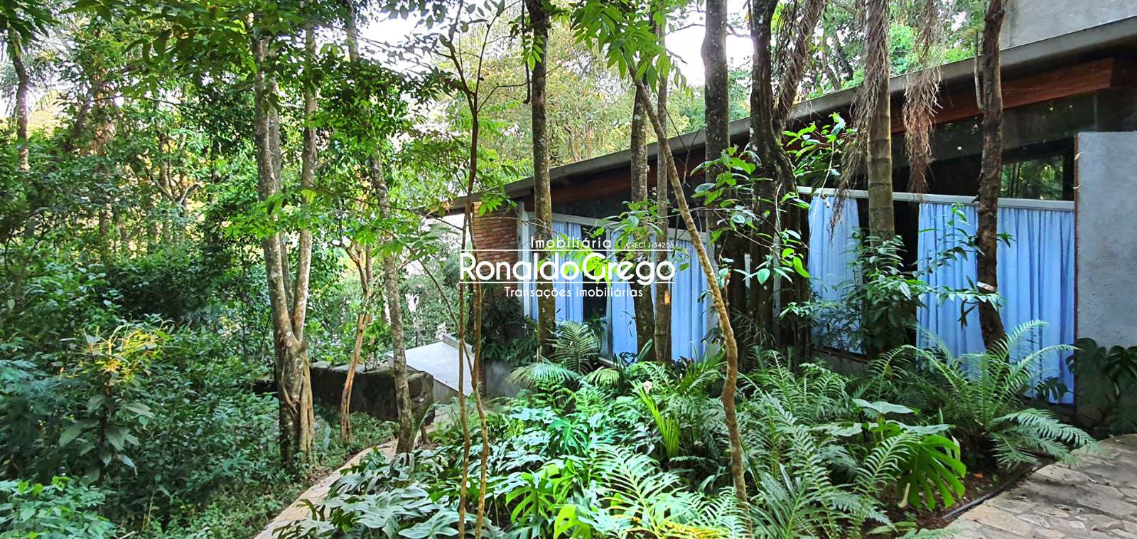 Chácara à venda com 2 quartos, 6000m² - Foto 3