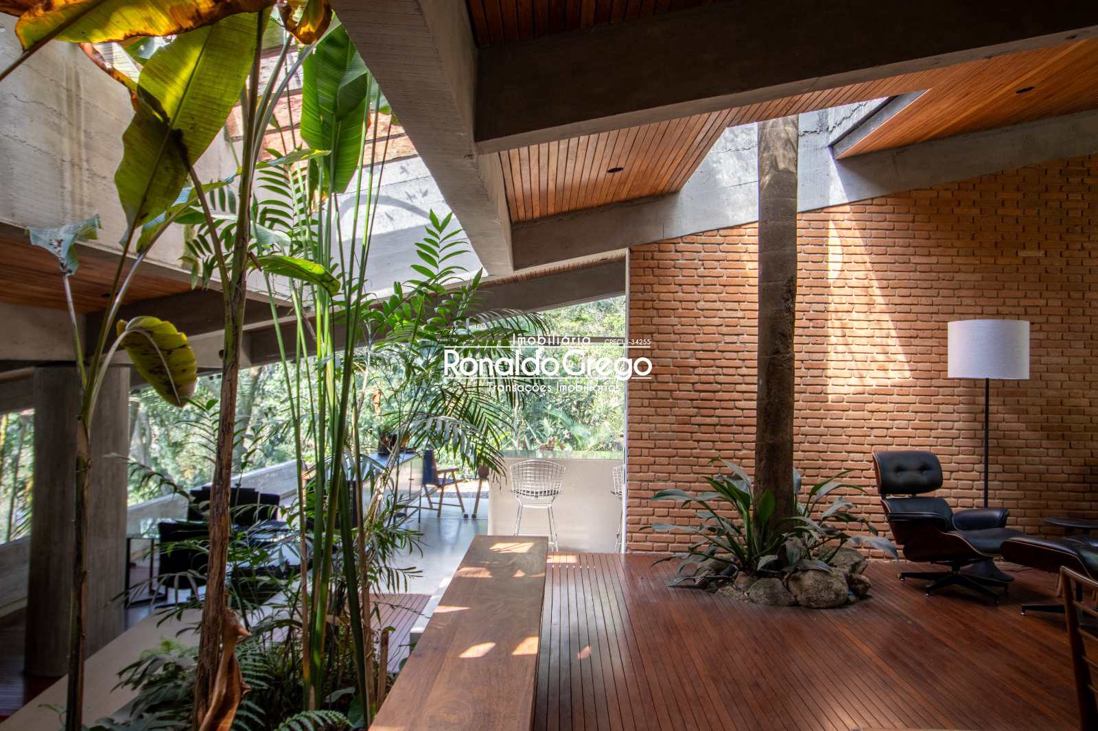 Chácara à venda com 2 quartos, 6000m² - Foto 6