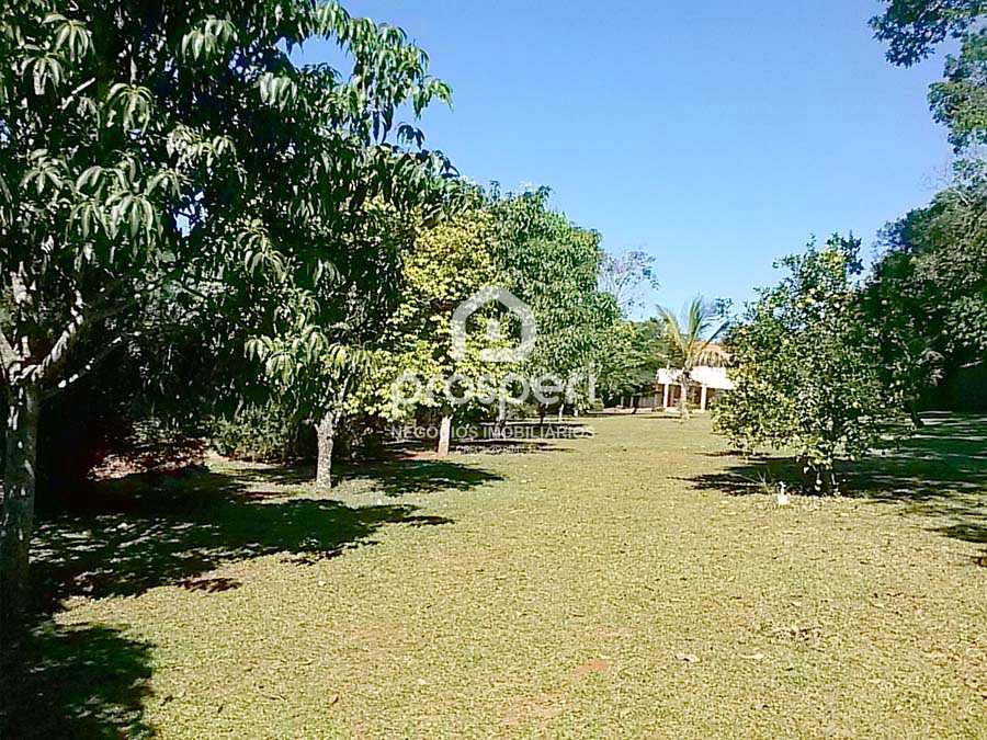 Fazenda à venda com 3 quartos, 24343m² - Foto 54