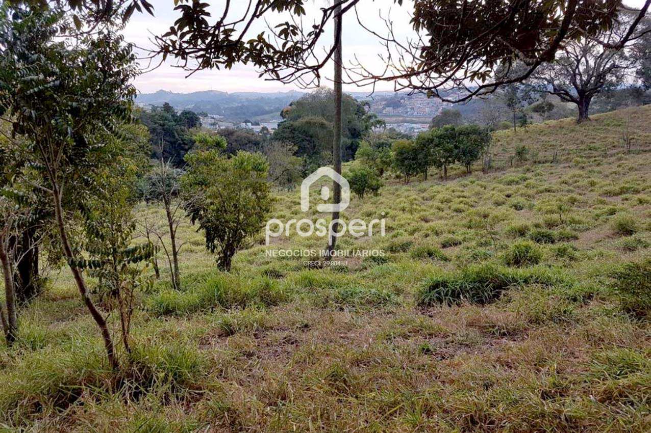 Terreno à venda, 15000m² - Foto 3