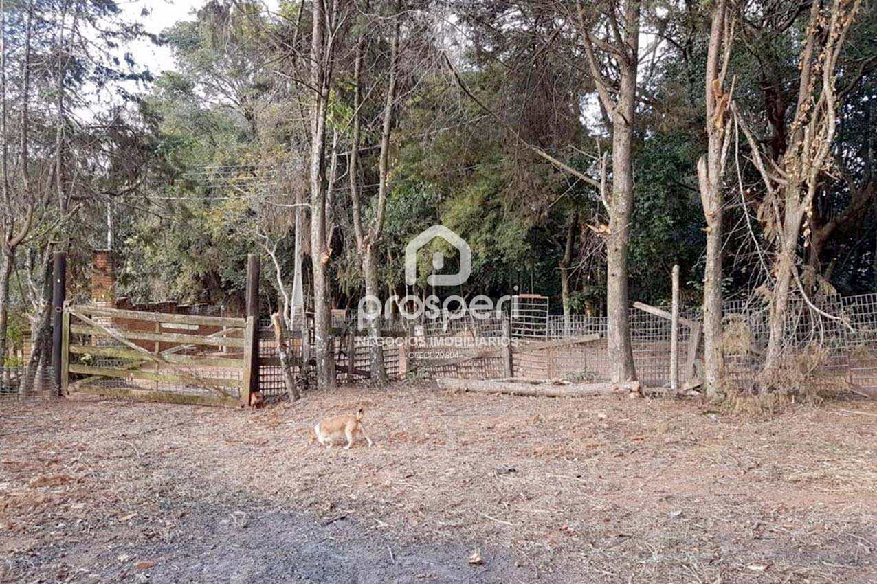 Terreno à venda, 15000m² - Foto 21