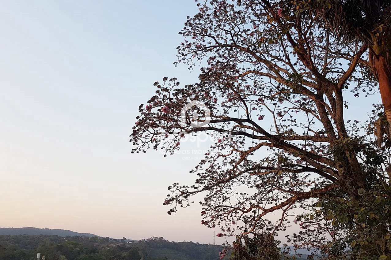 Fazenda à venda com 4 quartos, 5000m² - Foto 34