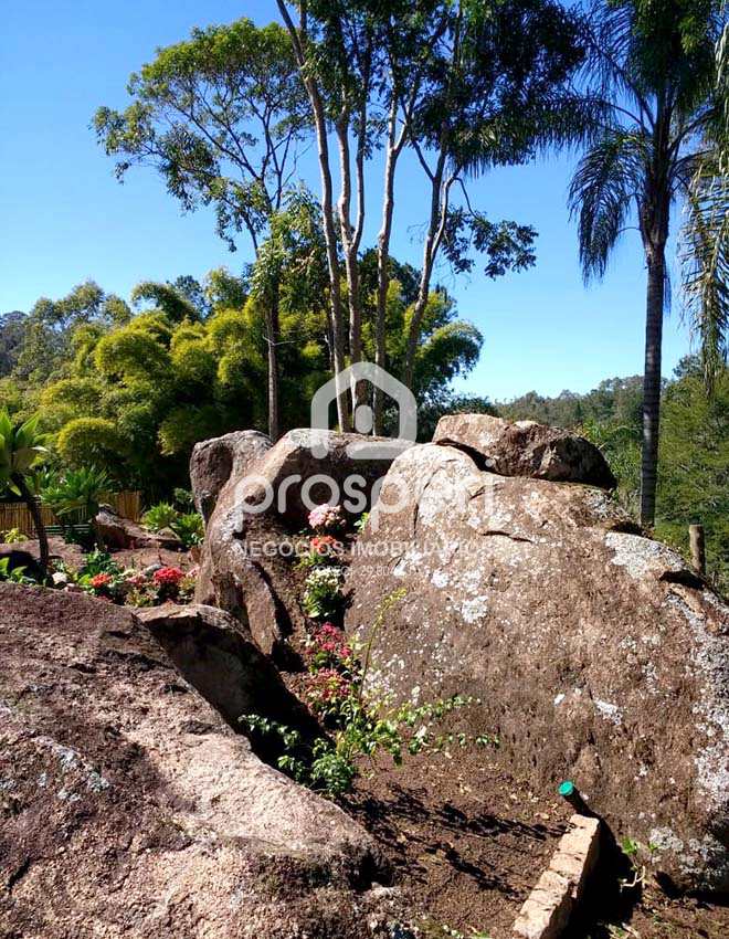 Fazenda à venda com 4 quartos, 13000m² - Foto 27