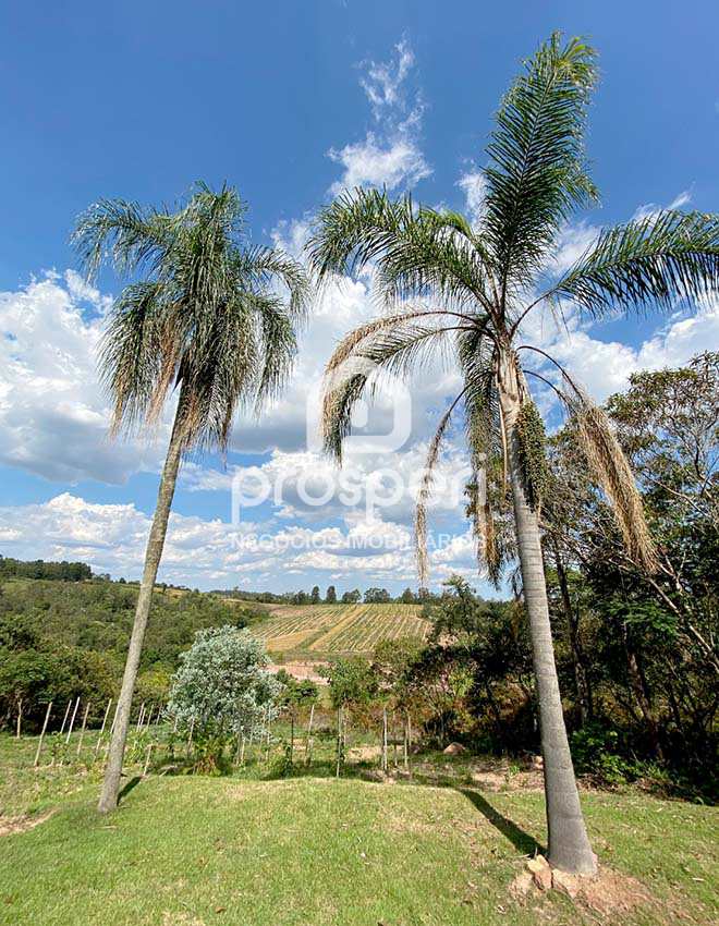 Terreno à venda, 5003m² - Foto 10